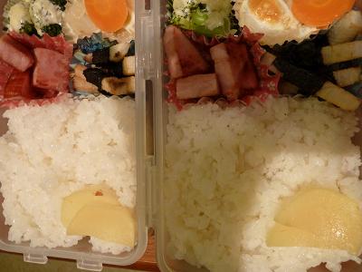 9-6弁当