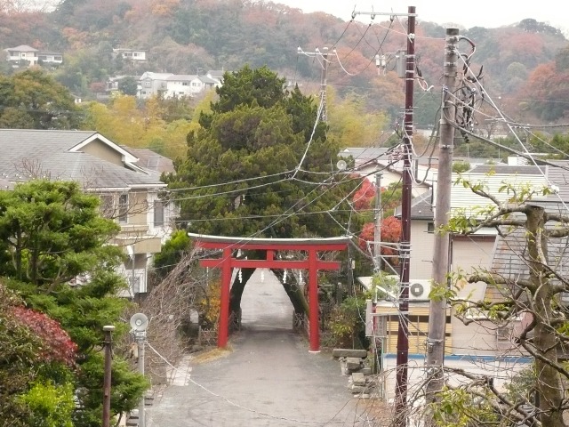 上から見た鳥居