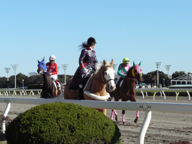 馬も登場