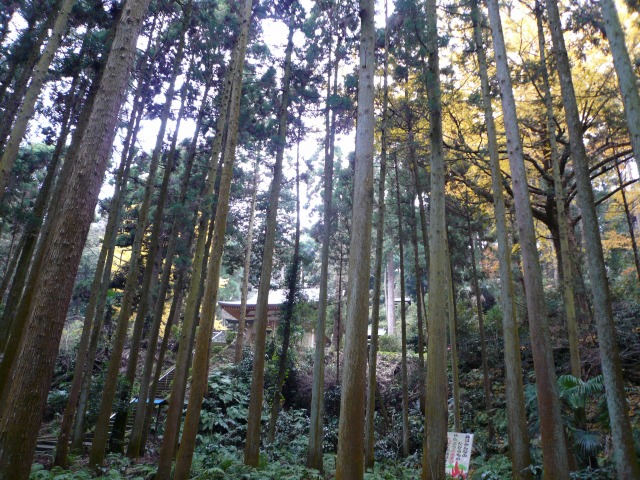 熊野神社