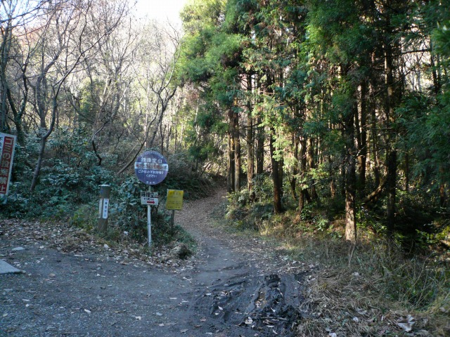 山道