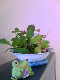 小さな秋