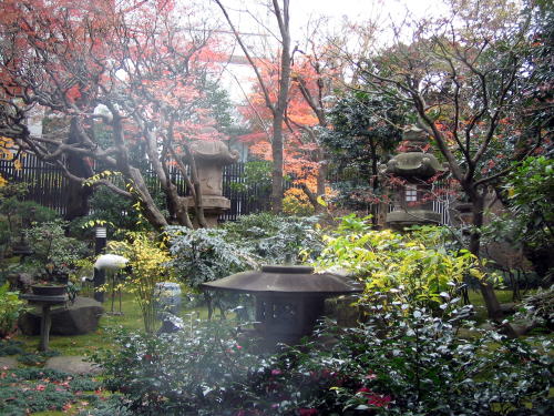 松岡美術館の中から見える庭