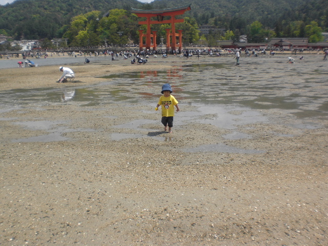 2009_0511画像0068.JPG