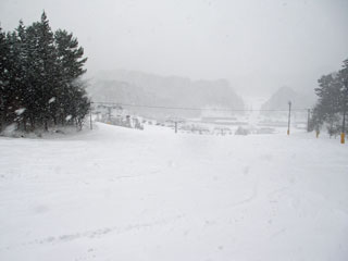 IMGP3704.jpg
