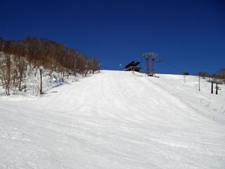 IMGP4059.jpg