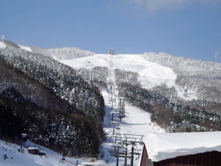 IMGP3834.jpg