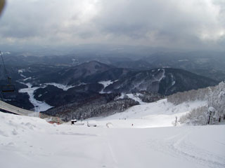 IMGP3795.jpg