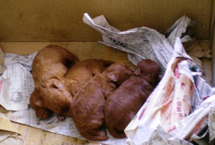 生まれたて！！