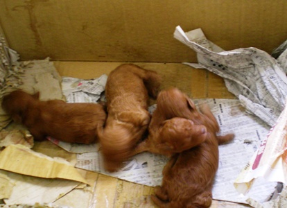 生まれたて！！