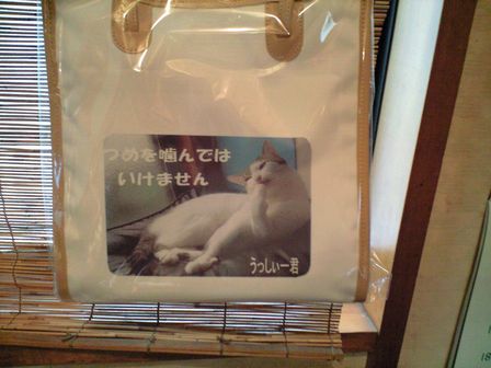 ペット自慢３.jpg