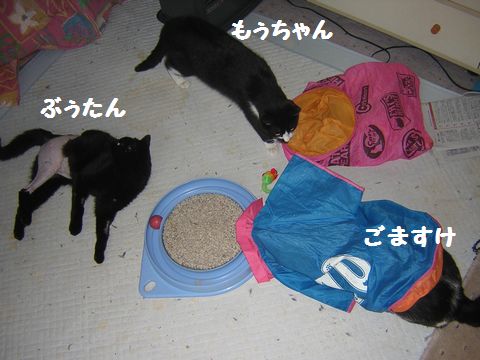 もぅ　３.jpg