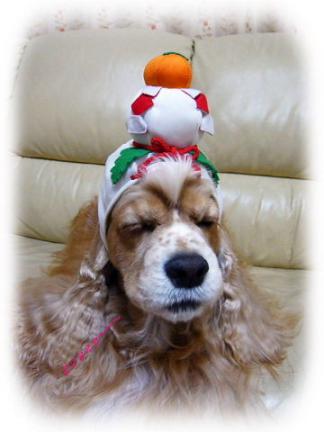 Ｚｚｚｚｚ～～おやすみなさ～～。。。