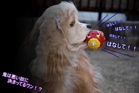 はなして！蘭々ちゃん！！.JPG