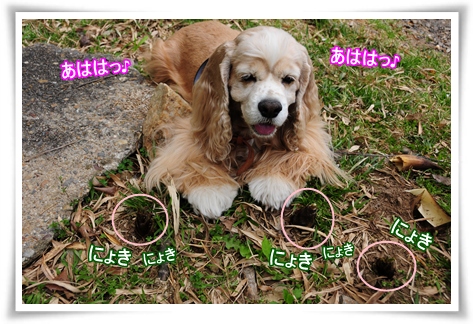 たけのこにょきにょき♪.JPG