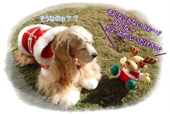 説得するトナカイ君.JPG