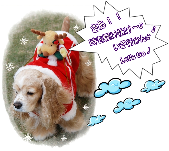 ＧＯ！ＧＯ！蘭々サンタ！！！.JPG