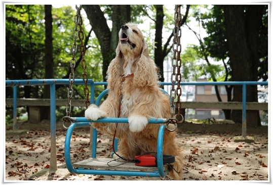 楽しいブランコ