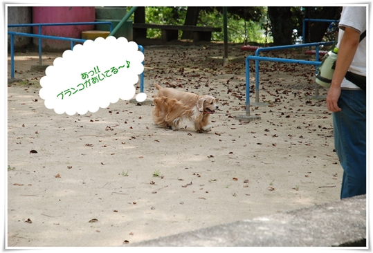 あっ！！ブランコだぁ～♪