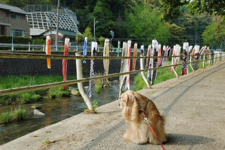 ？？？どこにお魚いるのぉ～？？？