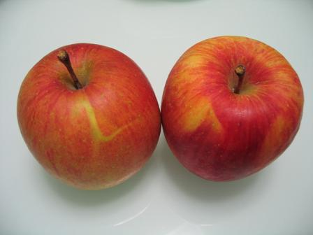 葉とらずりんご♪