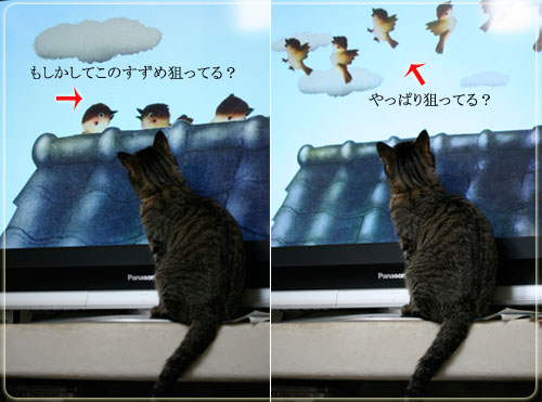 ろくとテレビ.jpg