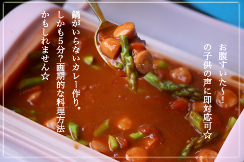 ルクエカレー.jpg