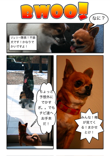 ◯犬漫画１.jpg