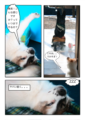 ◯犬漫画3.jpg