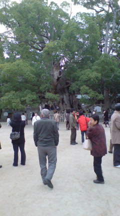 大山祇神社3