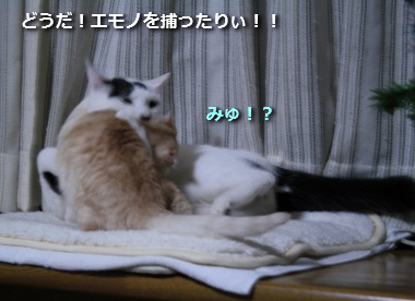 チコビィ仲良し9