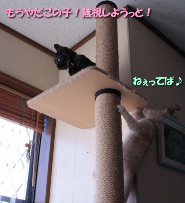 ビィ、マグのところへ行こうとする2