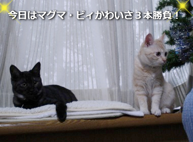 マグマ・ビィ3本勝負!