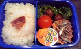 5/12lunch