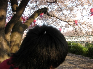 頭に花びら