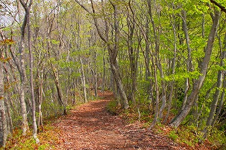 s-s-s-20 御駒山　中腹.jpg