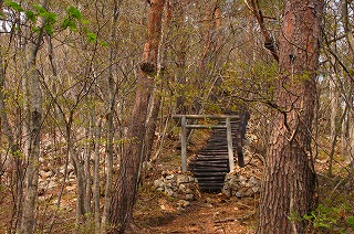 s-s-45 傾城森　傾城森鳥居.jpg