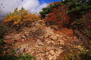 s-s-53 馬ノ神岳　山頂.jpg