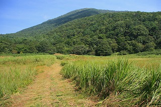 s-s-56 泉ヶ岳　岡沼.jpg