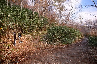 s-s-54 後白髪山　登山口.jpg