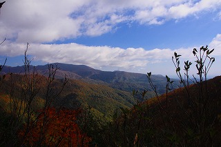 s-s-50 寒風山　アオノ背から.jpg