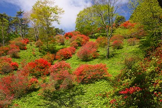 s-s-41 徳仙丈山　登山口から.jpg