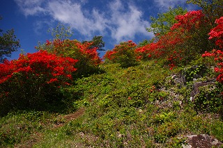 s-s-41 徳仙丈山　中腹.jpg