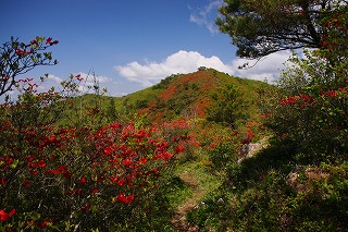 s-s-41 徳仙丈山　中腹から山頂.jpg