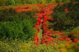 s-s-41 徳仙丈山　山頂から羽田.jpg