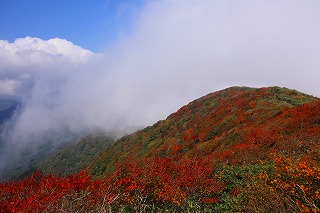 s-s-15 禿岳山頂.jpg