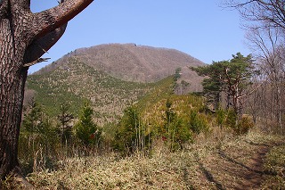 s-s-39 青麻山　中腹.jpg