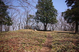 s-s-39 青麻山　山頂.jpg