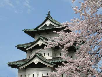 弘前城と桜