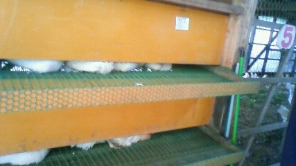 200907190757000.jpg